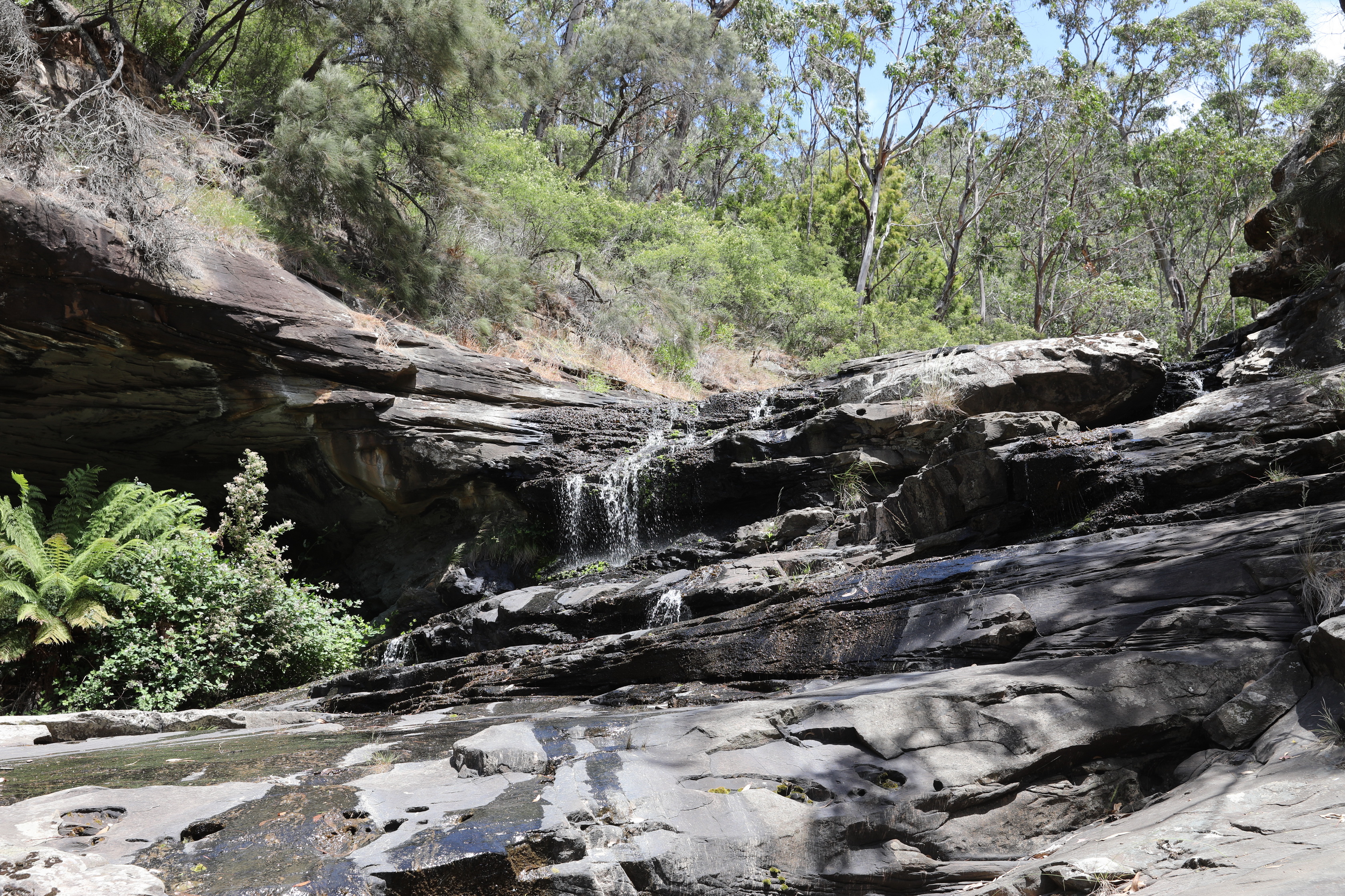 Sheoak Falls